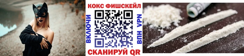 КОКАИН FishScale  дарнет шоп  Приволжский 