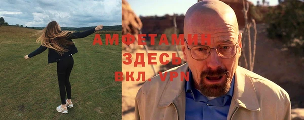 мдпв Богданович