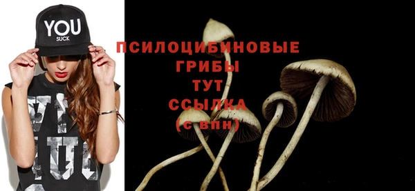 героин Богородицк