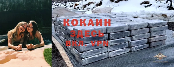 мдпв Богданович