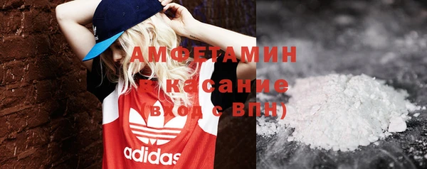 мдпв Богданович