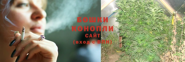 Альфа ПВП Богородск