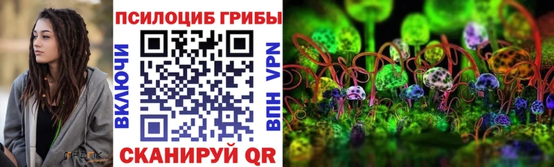 где купить наркоту  Приволжский  Псилоцибиновые грибы мухоморы 